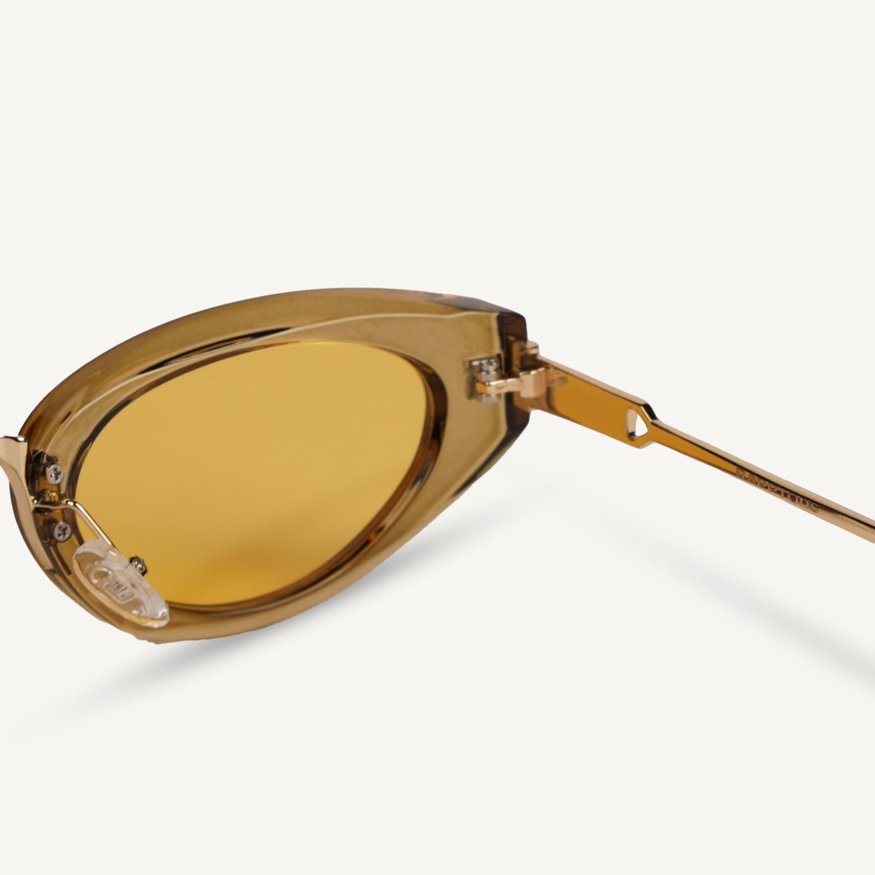 Lester Cove - RAPPTORS