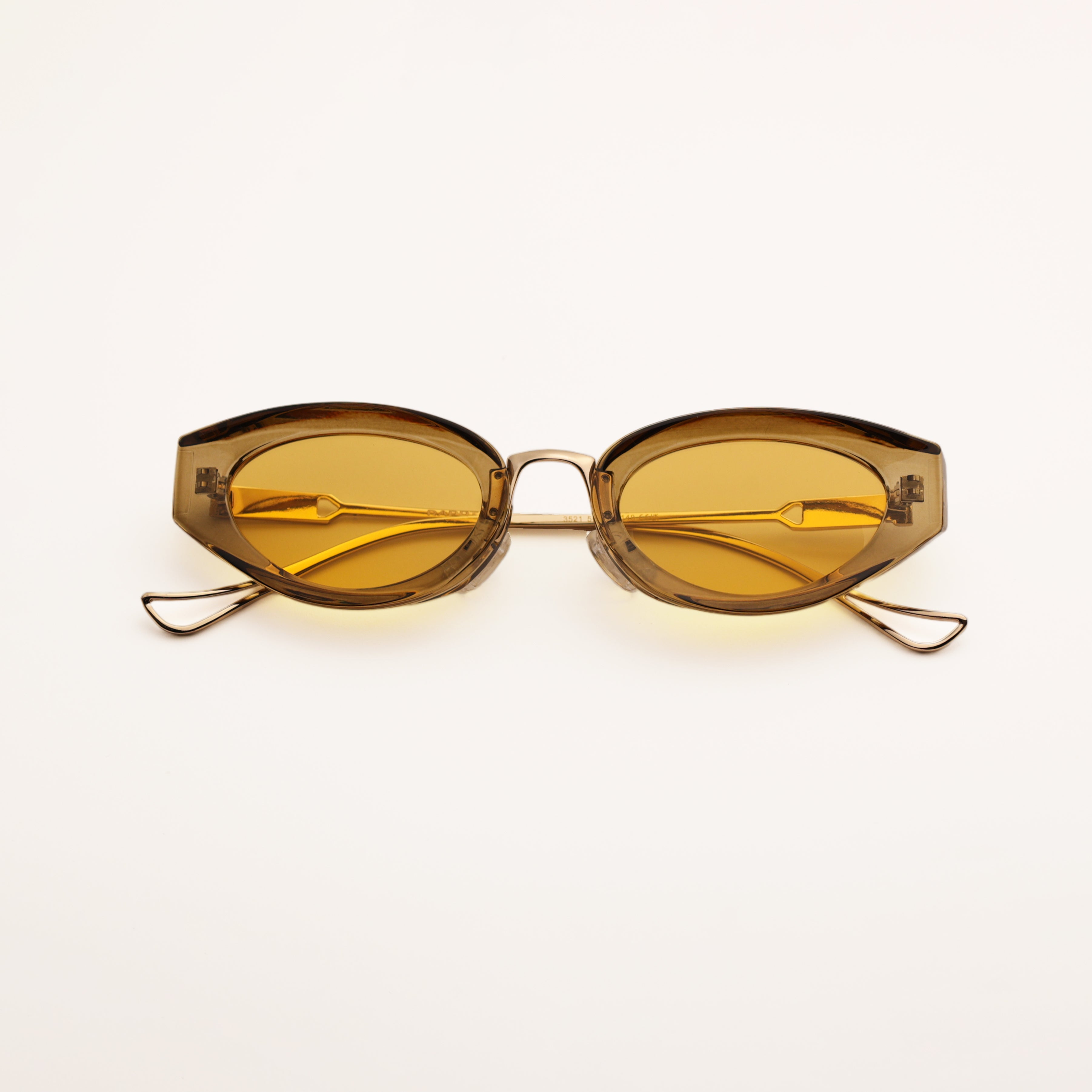 Lester Cove - RAPPTORS