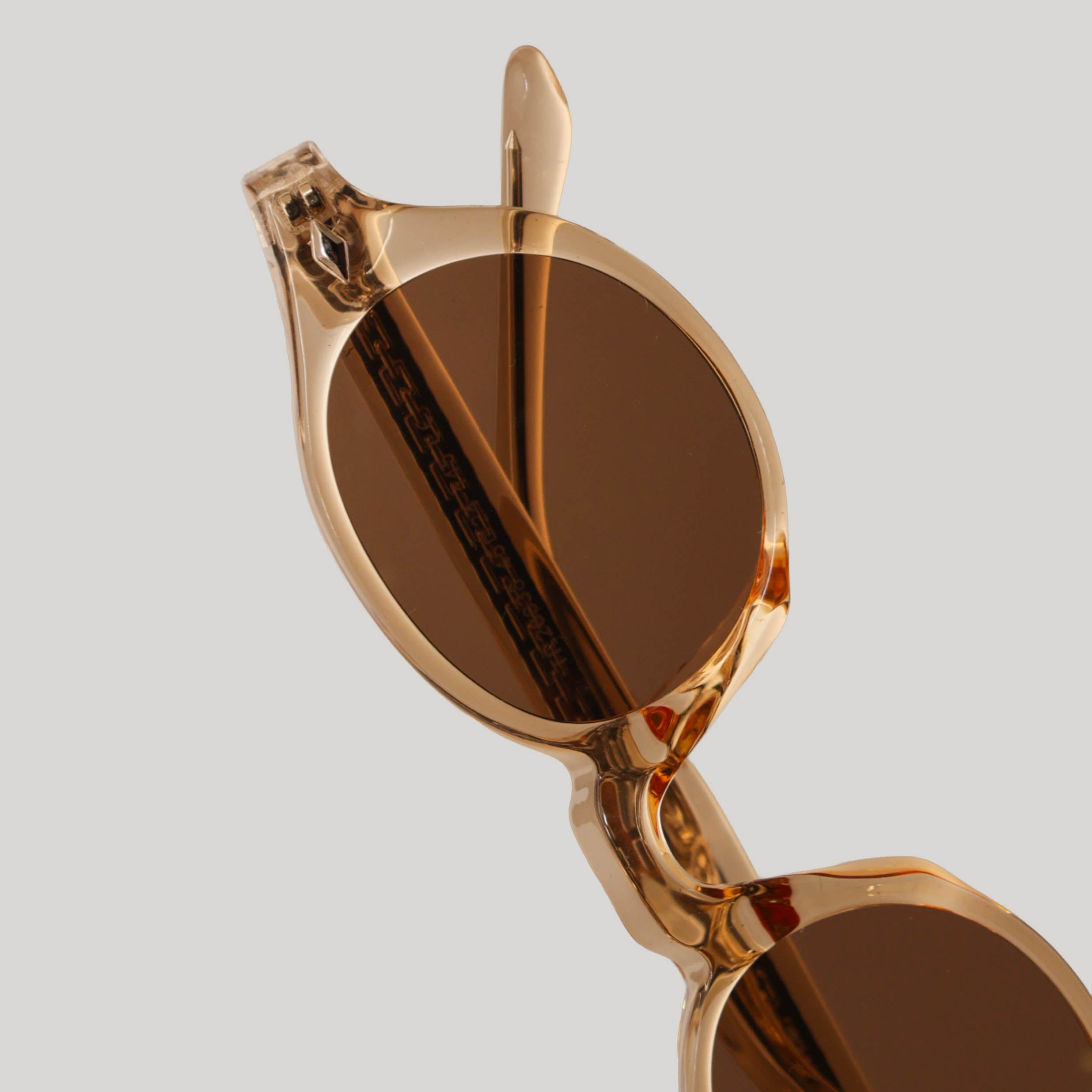 Clara Shell - RAPPTORS