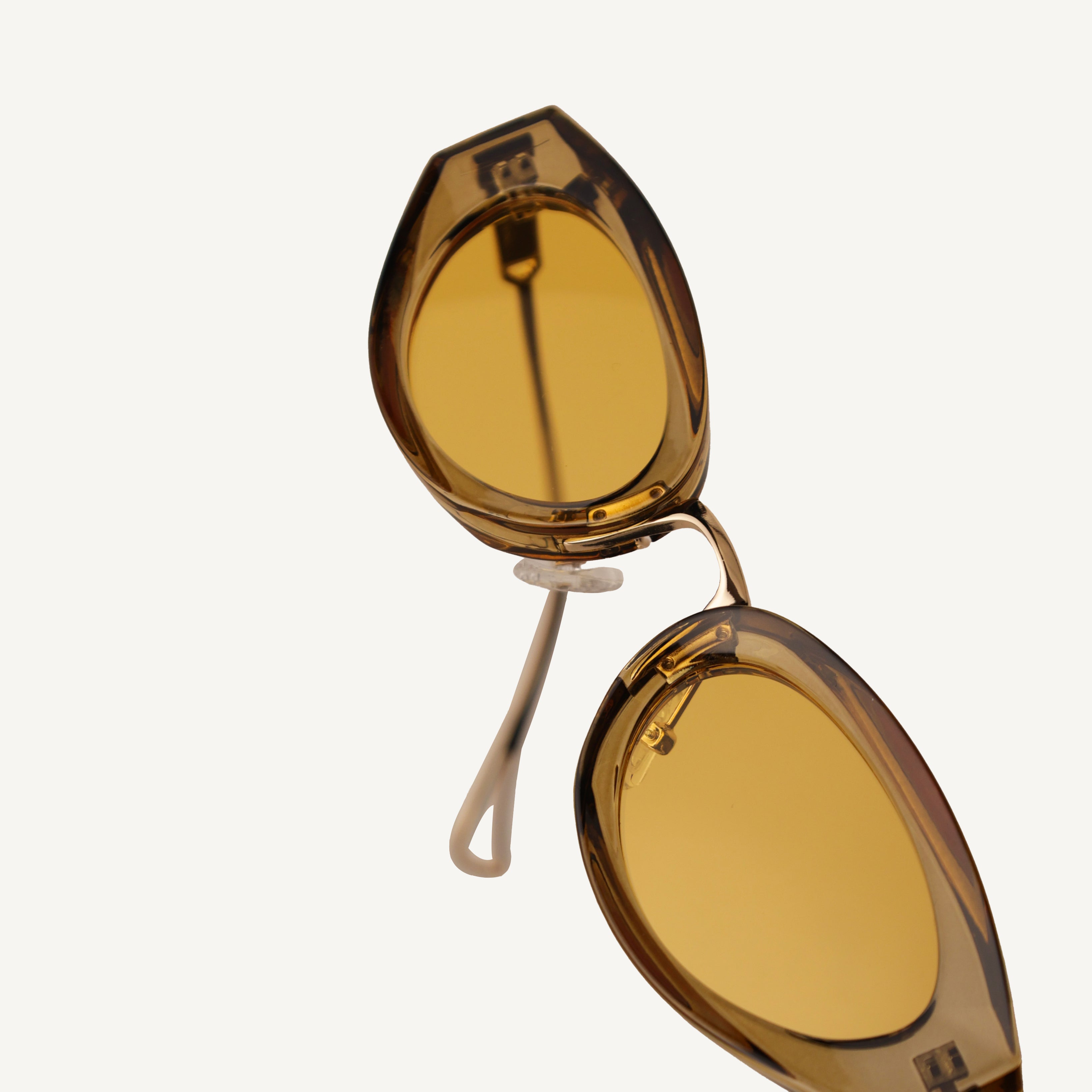 Lester Cove - RAPPTORS