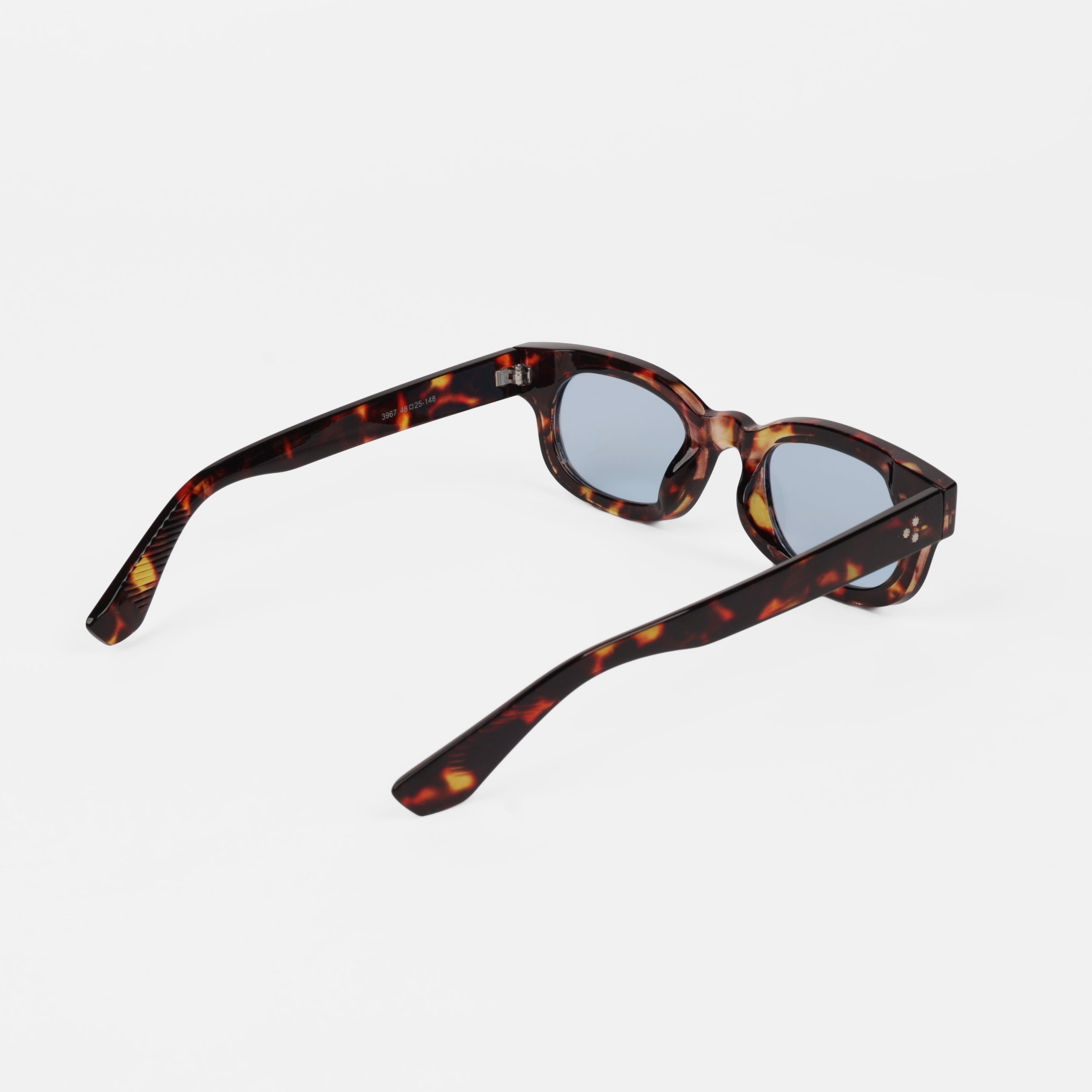 Freya Rook - RAPPTORS