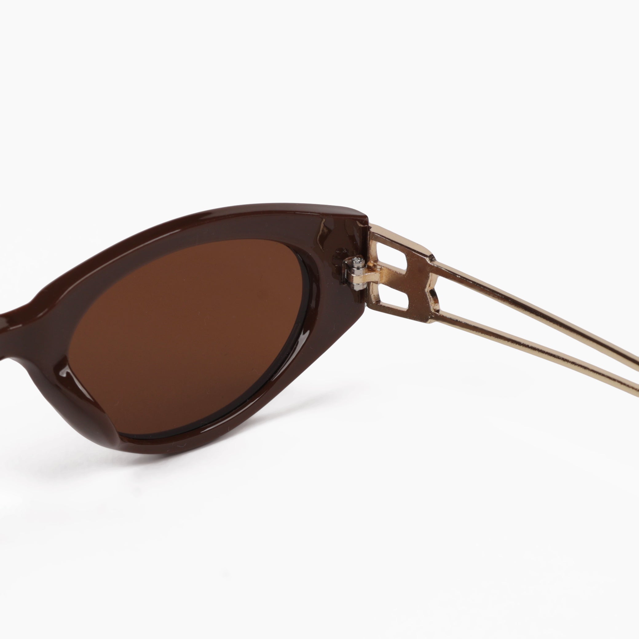 Linnea Edge - RAPPTORS