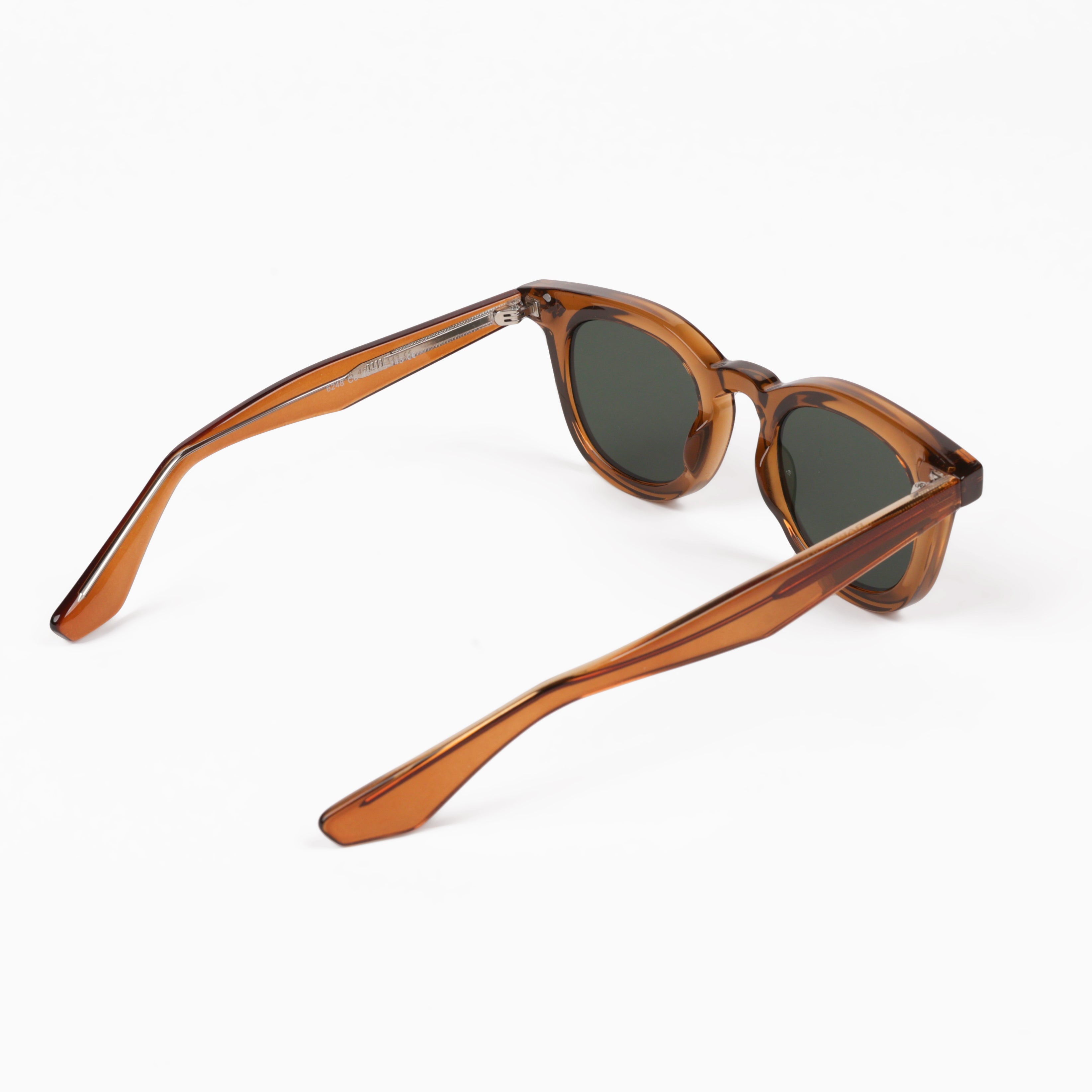 Elliot Clade - RAPPTORS