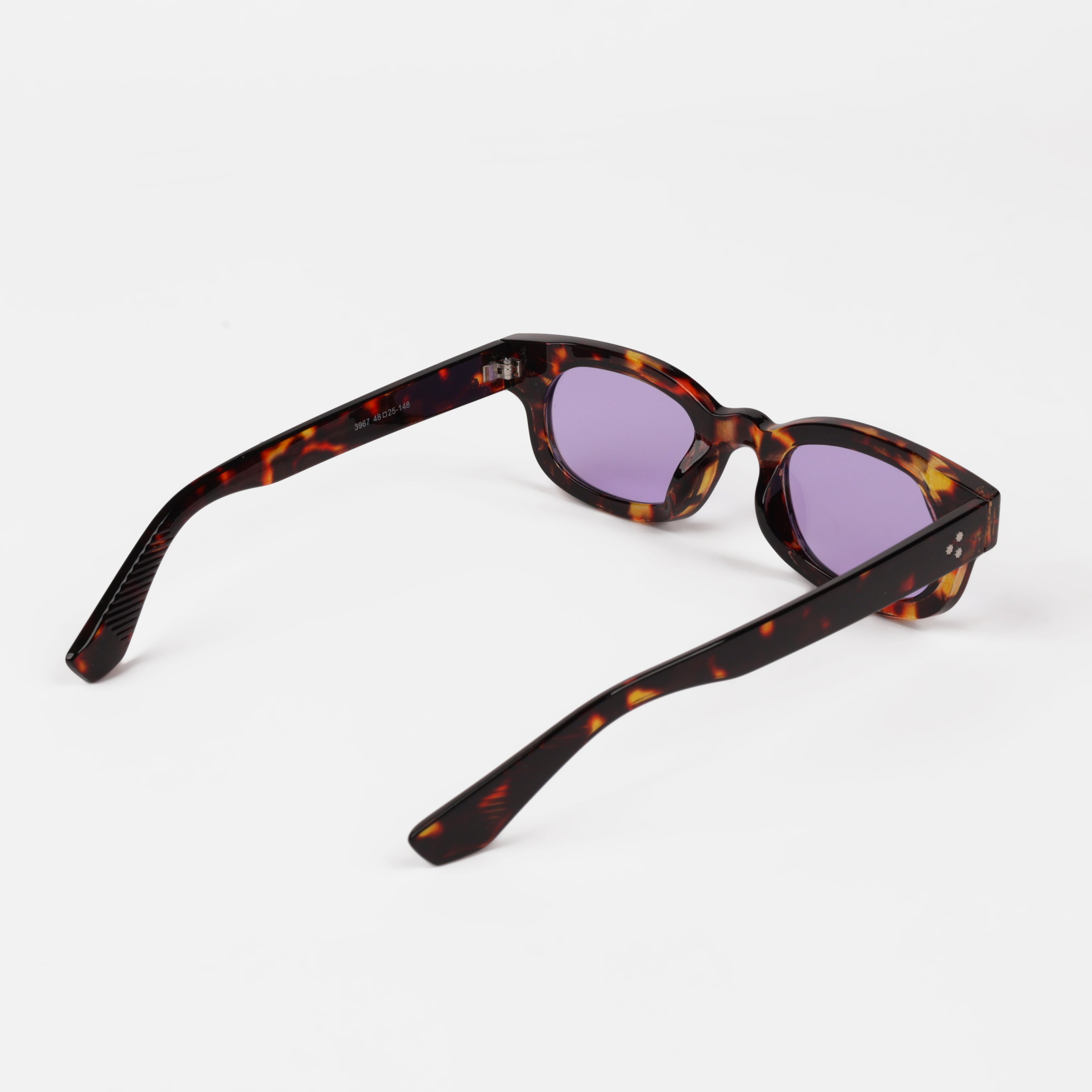 Juno Rook - RAPPTORS