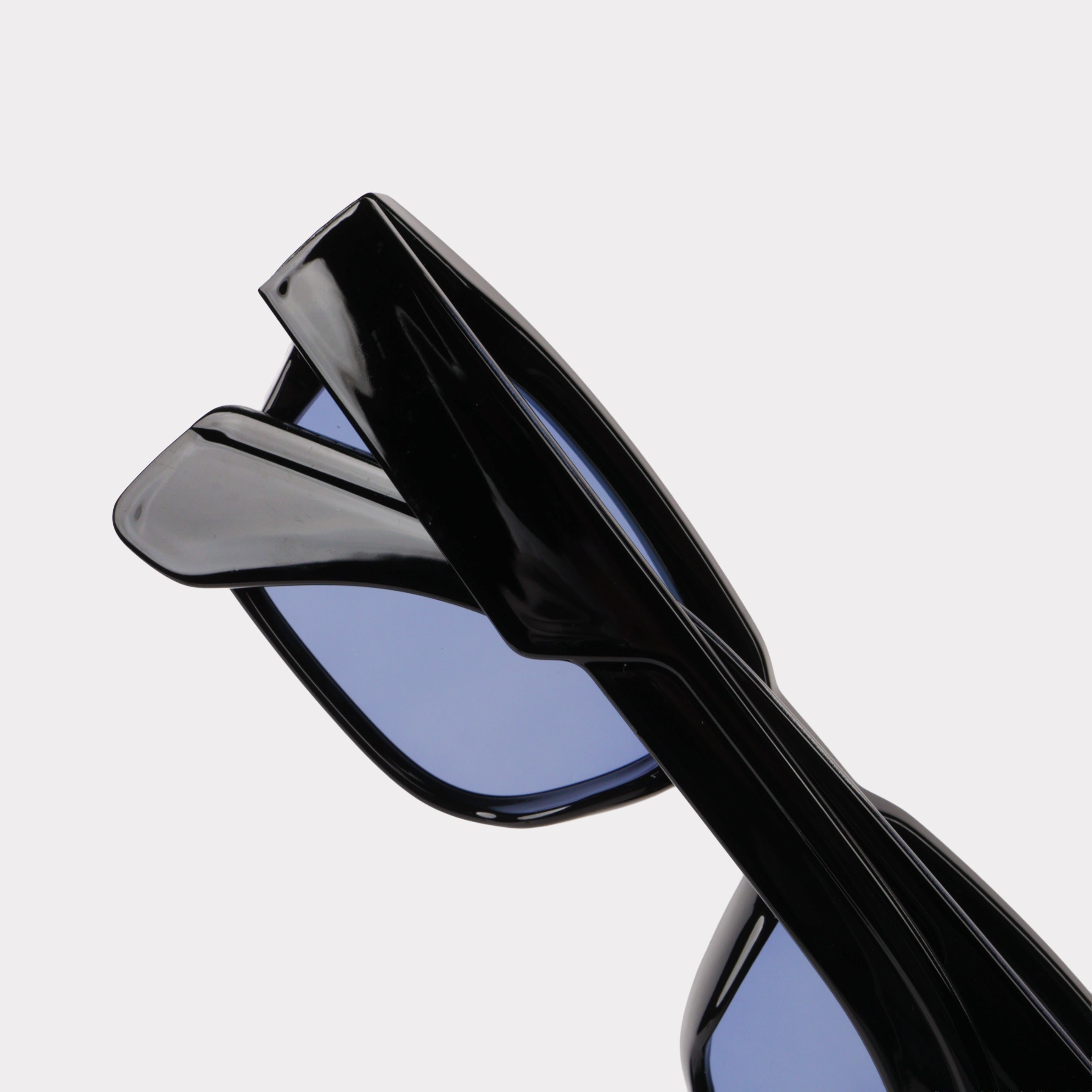 Marin Shale - RAPPTORS