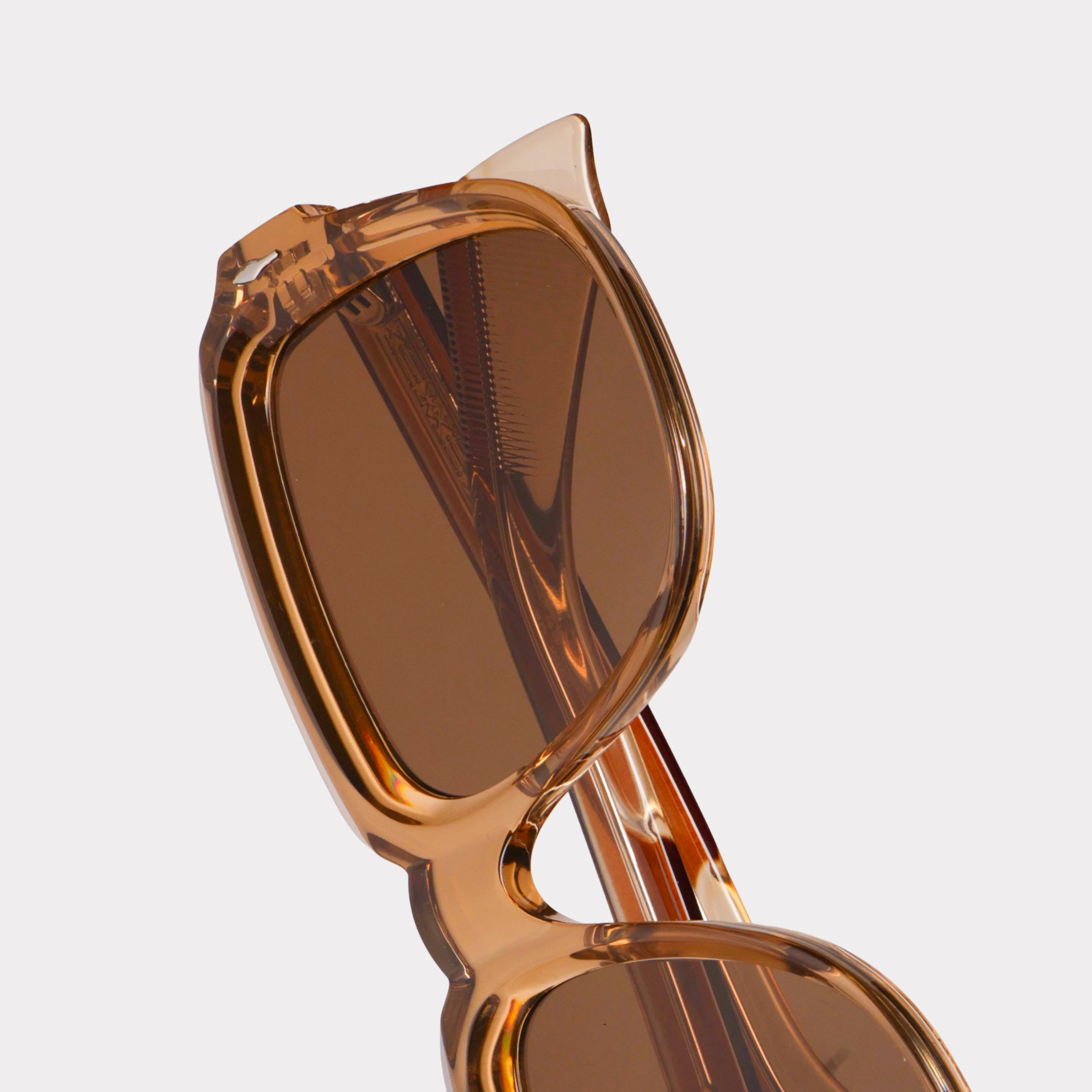 Lumi Clove - RAPPTORS