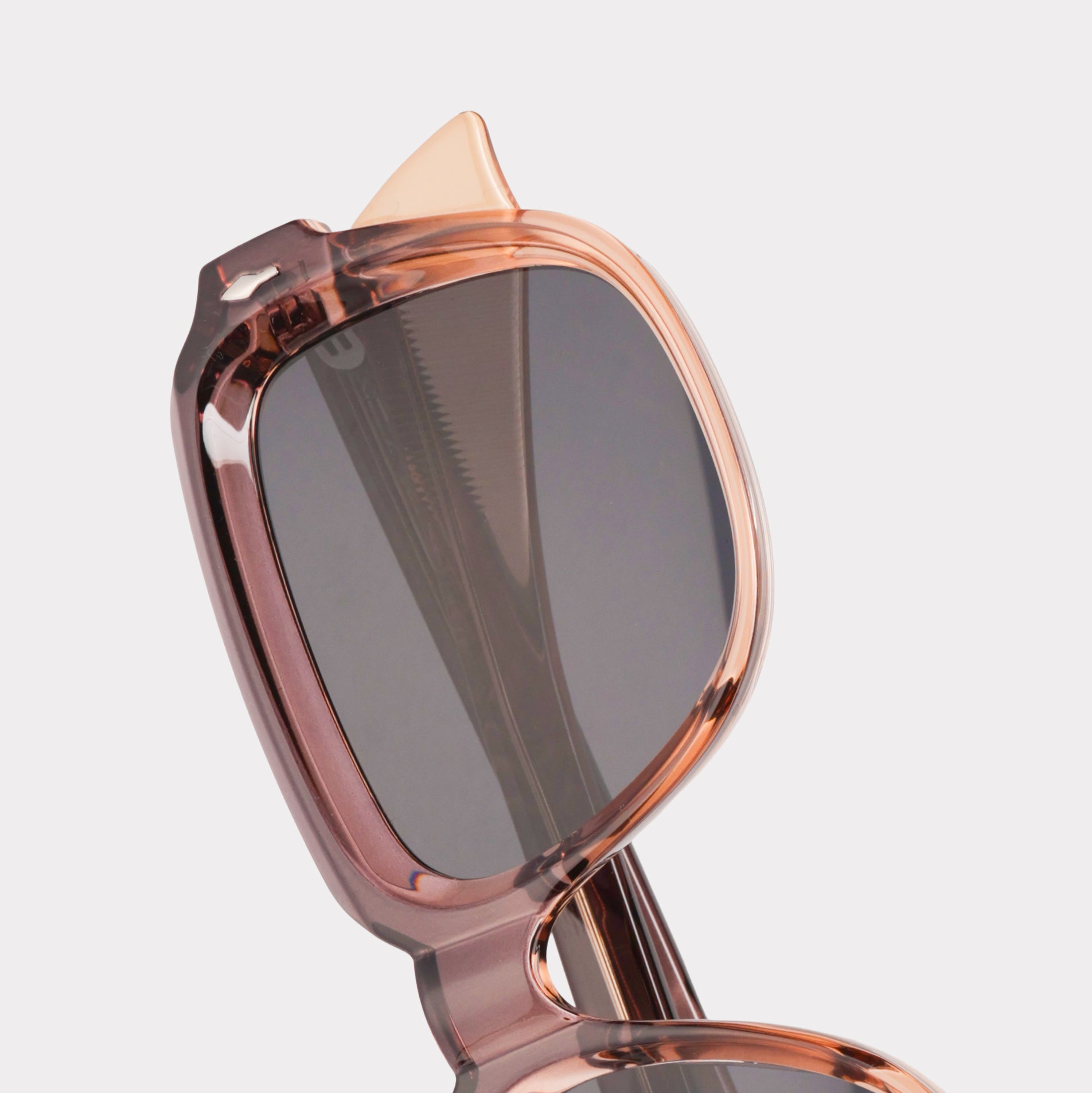 Eva Clove - RAPPTORS