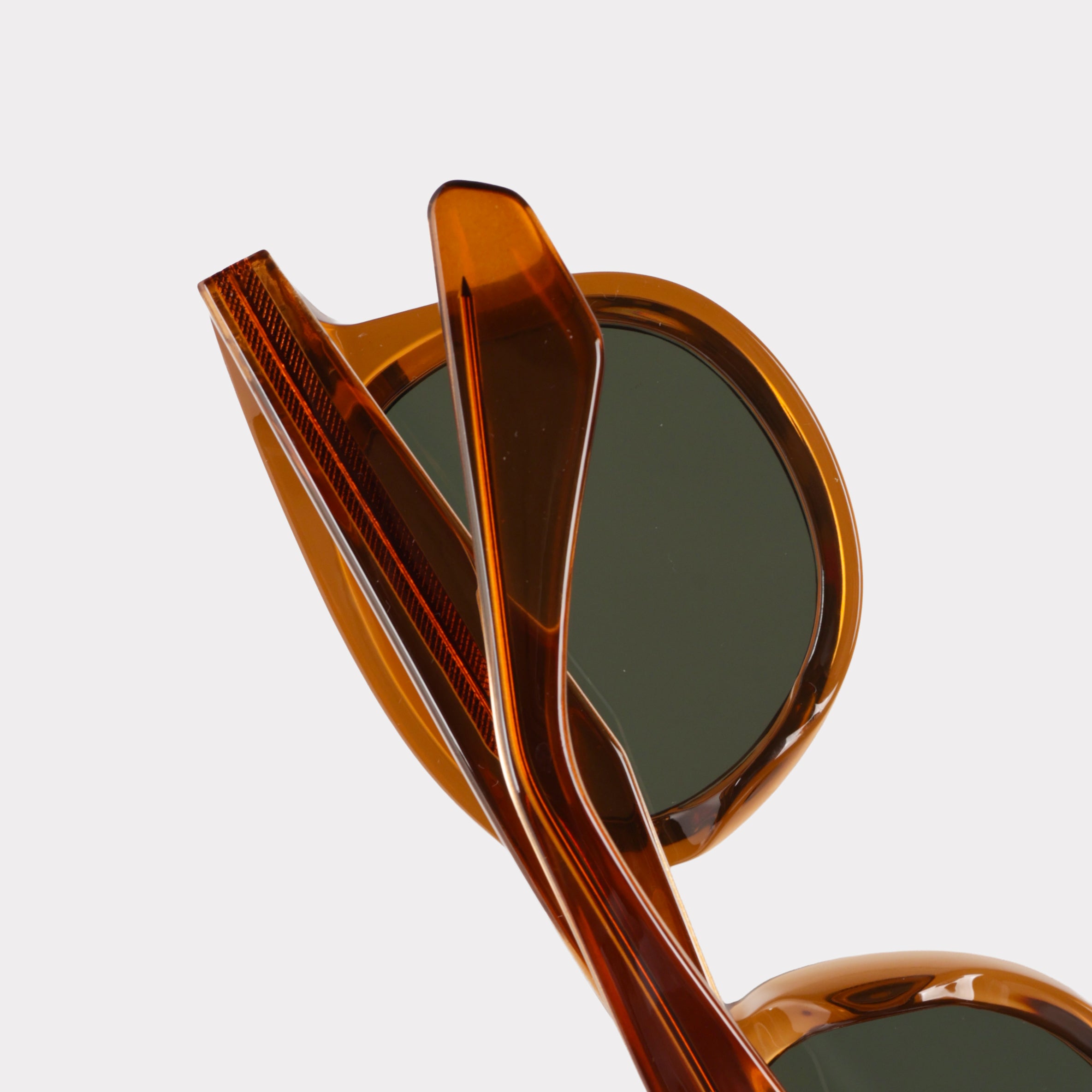 Elliot Clade - RAPPTORS