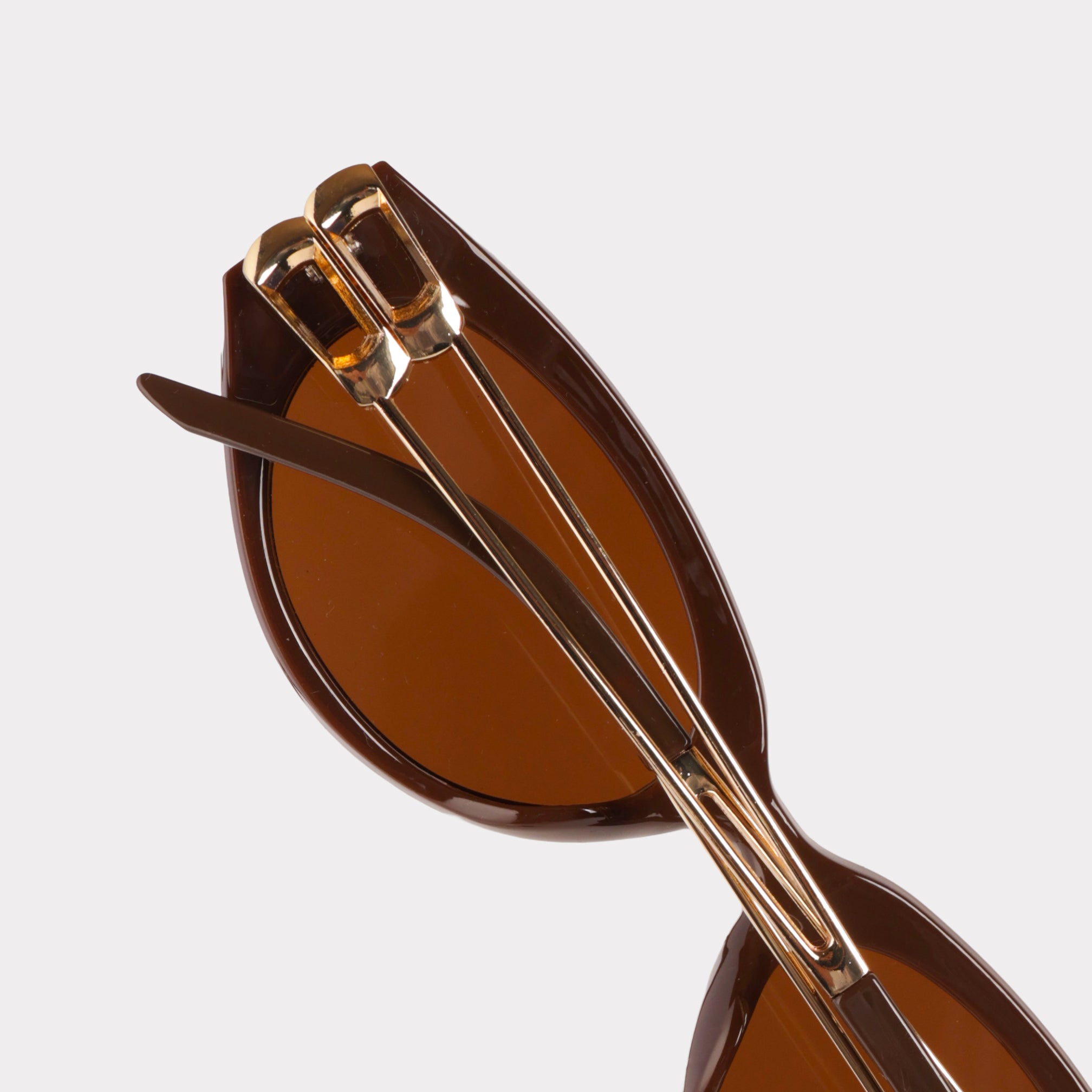 Linnea Edge - RAPPTORS