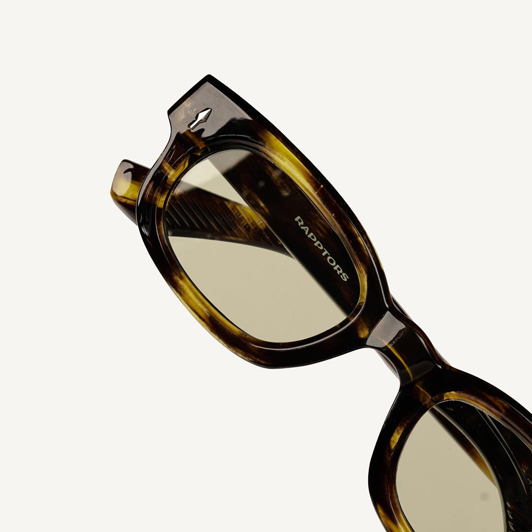 ELIO ROOK